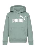 PUMA Ess No. 1 Logo Hoodie Fl B Grön