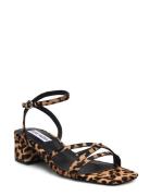 Steve Madden Gabby-L Sandal Brun