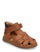 ANGULUS Sandals - Flat - Closed Toe Brun