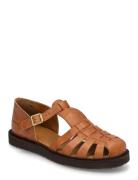 ANGULUS Sandals - Flat - Closed Toe - Op Brun