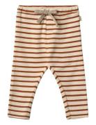 Wheat Jersey Pants Manfred Beige