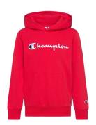 Champion Hooded Sweatshirt Röd