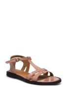 ANGULUS Sandals - Flat Rosa