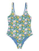 PICTURE ORGANIC CLOTHING Nanoe Printed Swimsuit Multi/patterned