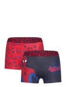 Spider-man Boxer Multi/patterned