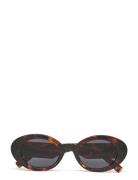 Le Specs Nouveau Vie Brun
