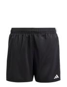 Adidas Sportswear 3S Shorts By Svart
