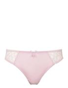 Missya Leia Brazilian Rosa