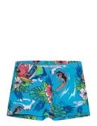 Speedo Boys Learn To Swim Digital Allover Aquashort Blå