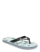 OAKLEY Catalina Flip Flop Blå