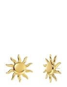 Edblad Sun Studs L Guld