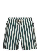 Hollister Hco. Guys Swim Marinblå