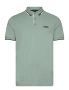 BOSS Paddy Pro Grön