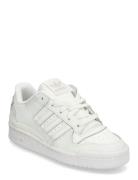 Adidas Originals Forum Low Cl J Vit