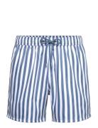 Pockies Blue Striped Shorties Blå