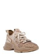 Steve Madden Mistica Sneaker Guld