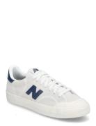 New Balance New Balance Bb100 Vit