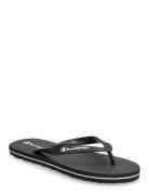 Champion Big Classic Evo Ii Flip Flop Slipper Svart