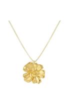 Edblad Floral Necklace L Gold Guld