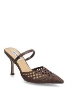 Steve Madden Brinley Brun