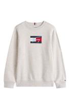 Tommy Hilfiger Tommy Script Flag Sweatshirt Grå