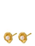 Pernille Corydon Hidden Pearl Earsticks Guld