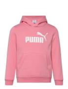 PUMA Ess No. 1 Logo Hoodie Fl Ps Rosa