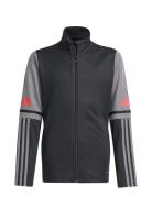 Adidas Performance Sq25 Tr Jkt Y Svart