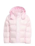 Adidas Originals Down Jacket Rosa