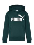 PUMA Ess No. 1 Logo Hoodie Fl B Grön