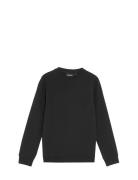 Lyle & Scott Embossed Eagle Crew Neck Svart