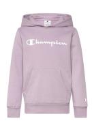 Champion Hooded Sweatshirt Rosa