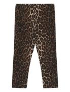 The New Tnstpenny Leggings Brun