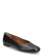 ANGULUS Ballerina Svart