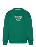 The New Tnpaul Os Sweatshirt Grön