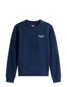 Tommy Jeans Tjw Reg Ess Logo 1 Crew Ext Marinblå