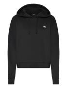 VANS W Salton Rlx Ft Po Svart