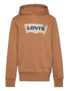 Levi's Levi's® Screenprint Batwing Pullover Hoodie Beige