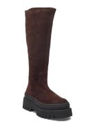 Steve Madden Chipp Brun