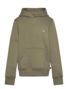 Levi's Po-Pull-Over Hoody Grön