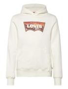 Levi's Po-Pull-Over Hoody Vit