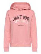 GANT Reg Arch Print Hoodie Rosa
