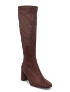 Steve Madden Holly Brun