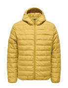 ONLY & SONS Onsbron Hood Quilt Jacket Otw Vd Gul
