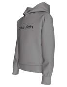 Calvin Klein Inst. Logo Reg. Terry Hoodie Grå