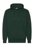 GANT Reg Tonal Shield Hoodie Grön