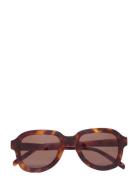 Corlin Eyewear Pascal Tortoise Brown Brun
