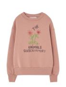 THE ANIMALS OBSERVATORY Flowers Dusty  Bear Sweatshirt Rosa