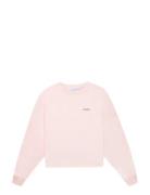 Maison Labiche Massard Amour Rosa