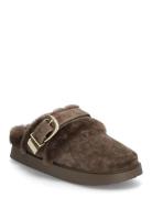 Steve Madden Cozy Up Brun